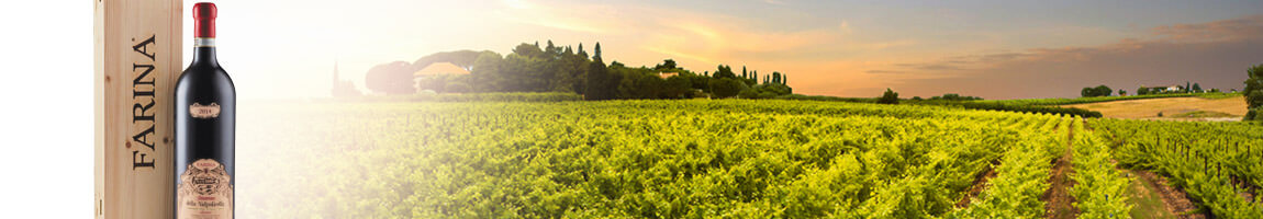 vino amarone della valpolicella