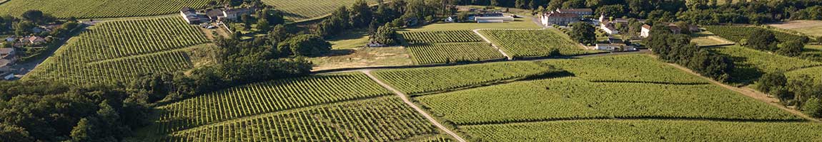 chateau lafite rothschild